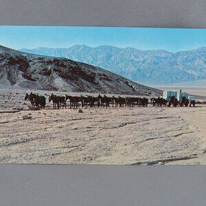 Vintage Postcard - 20 Mule Team Death Valley - Dexter Press